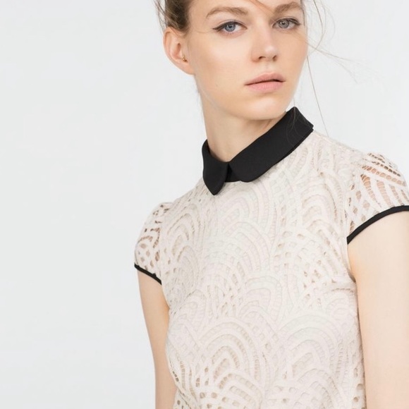 NWOT Zara Lace Dress with Black Collar - Picture 2 of 6